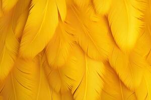 amarelo penas fundo, amarelo penas padrão, penas fundo, penas papel de parede, pássaro penas padrão, foto