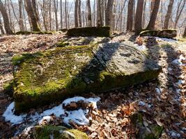 stecci medieval lápides cemitérios dentro mramor crkvina, selo vrbica, Bósnia e herzegovina. unesco local. a lápides característica uma Largo alcance do decorativo motivos e inscrições. foto