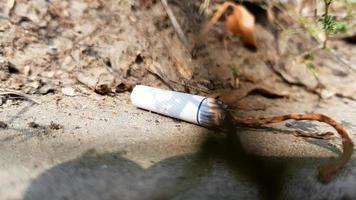 cigarro acidentalmente jogado na grama seca. bituca de cigarro jogada em um prado verde, poluindo a natureza e o meio ambiente foto