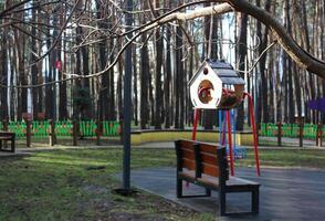 pássaro alimentador em uma árvore perto Banco dentro uma parque foto