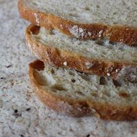 pão cozido a partir de integral farinha em fino Pão Pita pão. quadrado estoque foto para saudável nutrição ilustração