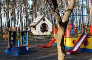 de madeira pássaros alimentador em uma ramo perto Parque infantil dentro cedo manhã foto