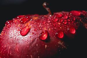 fechar-se do uma vermelho maçã com água gotas foto