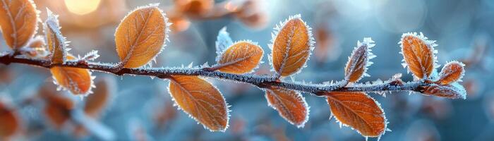 coberto de gelo folhas em uma vivo inverno manhã foto