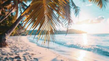 dourado pôr do sol de praia Visão com Palma silhueta para relaxante viagem bandeira desenhos foto