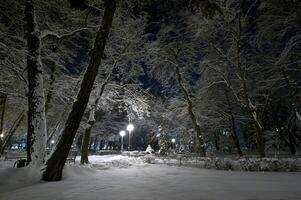 inverno cidade parque foto