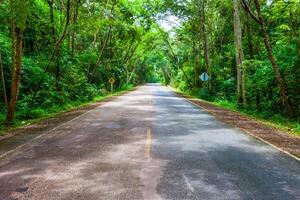 estrada acima para a montanha foto