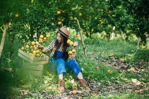 mulher cultivando plantação de laranja foto