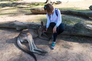 lindo menina com canguru dentro a nacional parque, Brisbane, Austrália foto