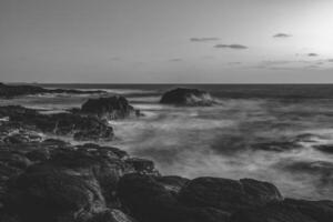 flinders dentro a matutino Península, vitória, Austrália foto