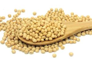 grãos de soja crus, alimentos frescos e orgânicos, isolados no fundo branco foto