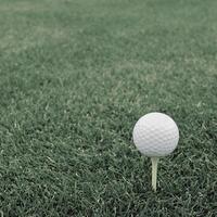 jogos dentro a golfe clube contra a fundo do a verde suculento Relva foto