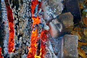 carne cozinhando tempo. ardente brasas do uma fogueira às uma piquenique dentro a acampamento foto