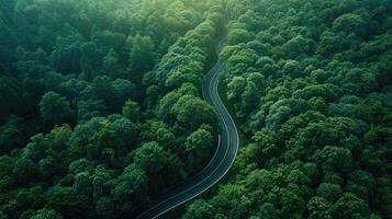 montanha enrolamento estrada entre florestas. foto