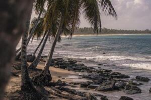 playa limon na república dominicana 33 foto