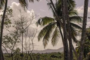 playa limon na república dominicana 21 foto