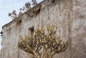 antiga casa típica das canárias, na ilha de gran canaria foto