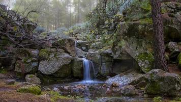 ilhas canárias, gran canaria, espanha foto