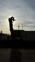 arborista, homem, guarda florestal cortes e cortes uma árvore dentro a cidade às pôr do sol em uma verão dia, mudando a natural panorama foto