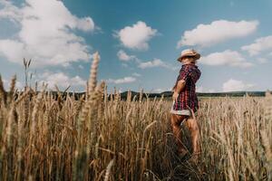 mulher trigo campo. agrônomo, mulher agricultor Verifica dourado maduro cevada espigões dentro cultivado campo. fechar-se do fêmea mão em plantação dentro agrícola colheita gestão conceito. lento movimento foto