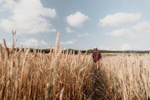 mulher trigo campo. agrônomo, mulher agricultor Verifica dourado maduro cevada espigões dentro cultivado campo. fechar-se do fêmea mão em plantação dentro agrícola colheita gestão conceito. lento movimento foto