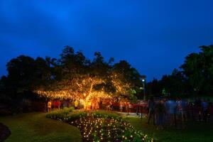 a mágico encantado jardins dentro roma rua parques, Brisbane, Austrália. foto