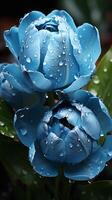 azul tulipa florescendo flor romântico fundo vegetação foto