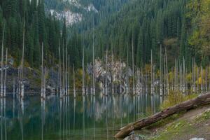gentil lago dentro tien-shan montanhas, Cazaquistão foto