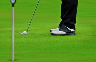 jogos dentro a golfe clube contra a fundo do a verde suculento Relva foto