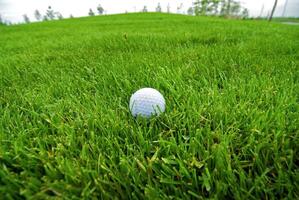 jogos dentro a golfe clube contra a fundo do a verde suculento Relva foto