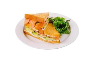fresco salmão sanduíche com salada em branco prato foto