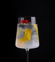 elegante Gin e tônico coquetel com guarnições foto