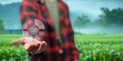 inteligente Fazenda ui holograma sistema ao controle, manutenção, exibindo crescimento em formação nutrientes, fertilizantes, água, inseto pragas do árvores, plantas, e vegetais, usar tecnologia dentro agricultura. foto