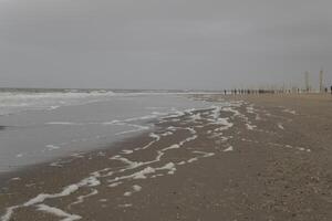 Alto maré linha em a praia, separação entre mar e de praia foto