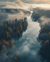 névoa lago e floresta paisagem, aéreo Visão foto