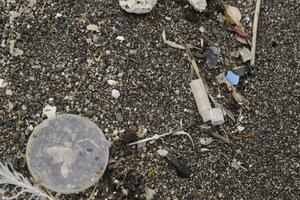 de praia depois de tempestade, Perigo para marinho vida, plástico desperdício, plástico porcaria, plástico, marinho vida dentro perigo, poluente pessoas foto