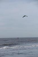 de praia dentro a inverno, kitesurf, dentro a Países Baixos foto