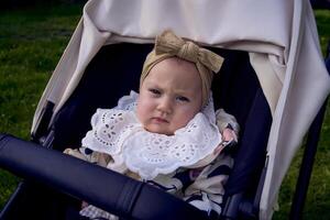 fofa bebê dentro uma carrinho de criança dentro a parque foto