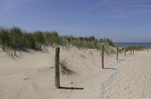 caminho dentro a dunas conduz para a praia, norte mar, Holanda, campista foto