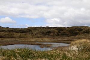 zonas úmidas, raso lagos dentro a dunas, vlieland, a Países Baixos foto