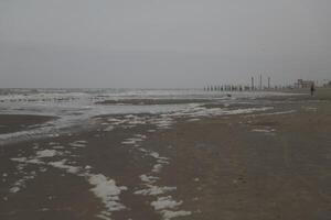 espuma às a praia, inverno dentro a Países Baixos foto