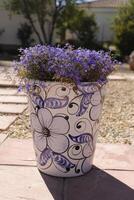 azul lobelia flores dentro azul cerâmica foto