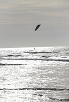 de praia dentro a inverno, kitesurf, dentro a Países Baixos foto