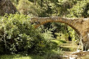 ponte, Espanha, Europa, natureza, caminhando foto