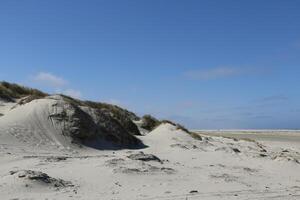 dunas às vlieland, a Países Baixos foto