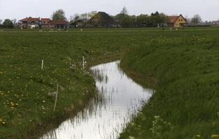 holandês canais dentro norte Holanda dentro a Primavera foto