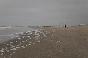 Alto maré linha em a praia, separação entre mar e de praia foto