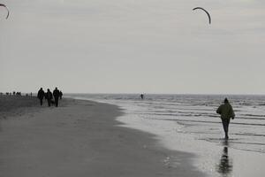 de praia dentro a inverno, kitesurf, dentro a Países Baixos foto