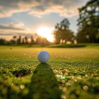 golfe bola em verde Relva às pôr do sol foto