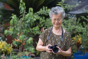 Senior mulher com curto cinzento cabelo, sorridente e segurando a digital Câmera enquanto em pé dentro uma jardim. espaço para texto. conceito do envelhecido pessoas e fotografia foto